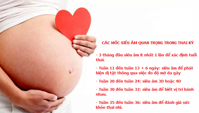 Các xét nghiệm và siêu âm quan trọng trong thai kỳ