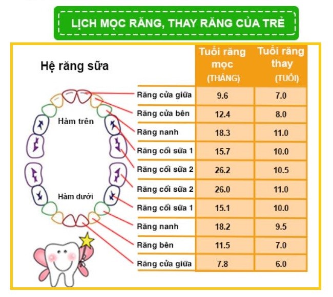 Cách chống sâu răng cho trẻ 2 tuổi bảo vệ răng sữa khỏe mạnh (1)