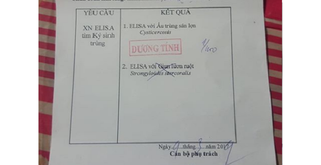 Cách phòng chống nhiễm sán lợn ở trẻ em trong mùa dịch bệnh (2)
